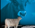 CATÁLOGO 2014/15